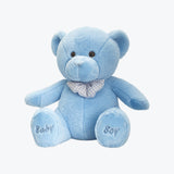 Blue Love Teddy Bear